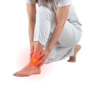 Ankle